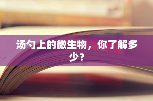 汤勺上的微生物，你了解多少？