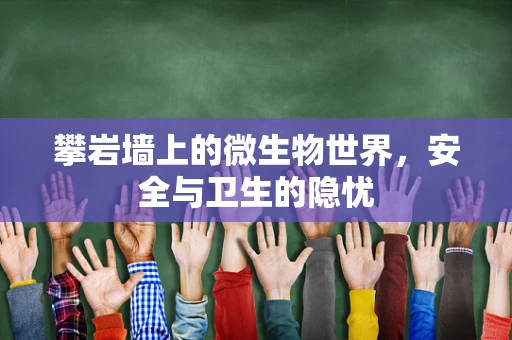 攀岩墙上的微生物世界，安全与卫生的隐忧