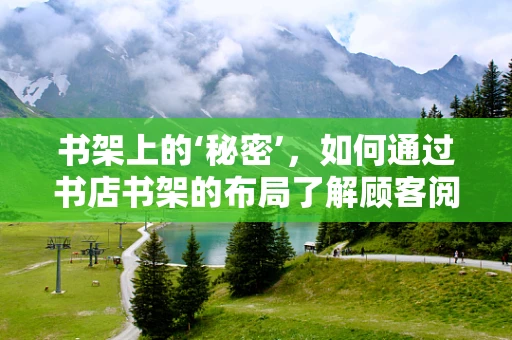 书架上的‘秘密’，如何通过书店书架的布局了解顾客阅读习惯？