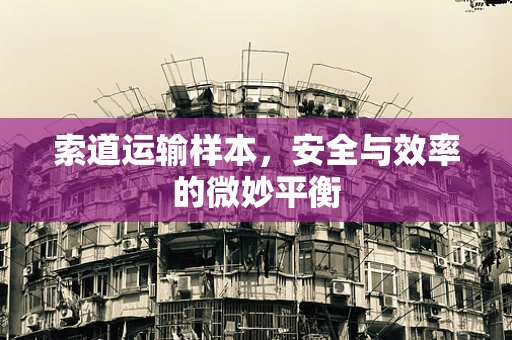 索道运输样本，安全与效率的微妙平衡