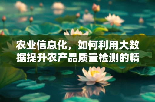 农业信息化，如何利用大数据提升农产品质量检测的精准度？