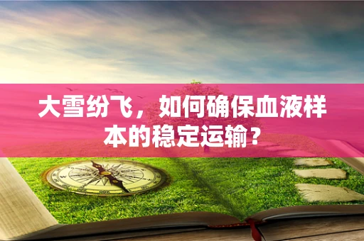 大雪纷飞，如何确保血液样本的稳定运输？