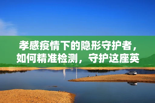孝感疫情下的隐形守护者，如何精准检测，守护这座英雄城市的健康防线？