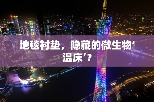 地毯衬垫，隐藏的微生物‘温床’？