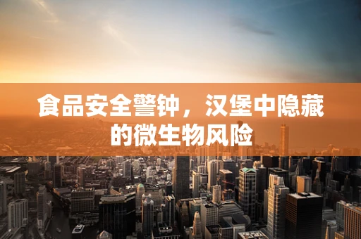 食品安全警钟，汉堡中隐藏的微生物风险