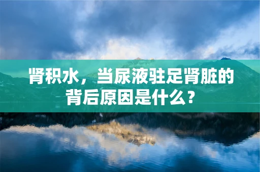 肾积水，当尿液驻足肾脏的背后原因是什么？