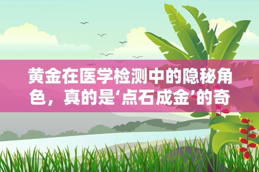 黄金在医学检测中的隐秘角色，真的是‘点石成金’的奇迹吗？