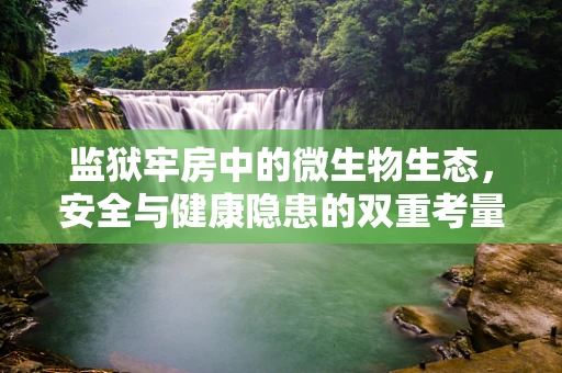 监狱牢房中的微生物生态，安全与健康隐患的双重考量