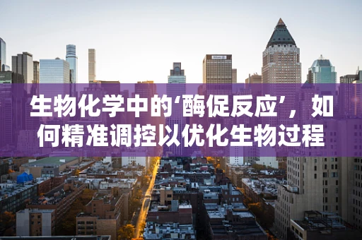 生物化学中的‘酶促反应’，如何精准调控以优化生物过程？