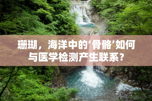 珊瑚，海洋中的‘骨骼’如何与医学检测产生联系？