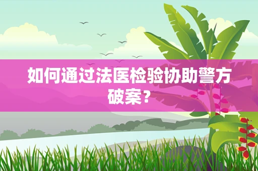 如何通过法医检验协助警方破案？
