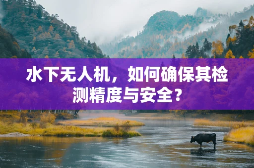 水下无人机，如何确保其检测精度与安全？