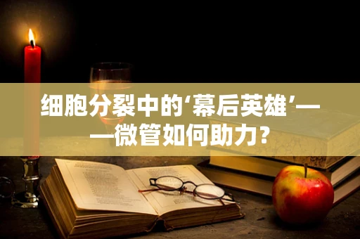 细胞分裂中的‘幕后英雄’——微管如何助力？