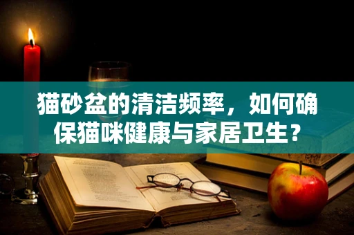 猫砂盆的清洁频率，如何确保猫咪健康与家居卫生？