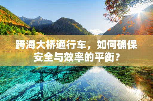 跨海大桥通行车，如何确保安全与效率的平衡？