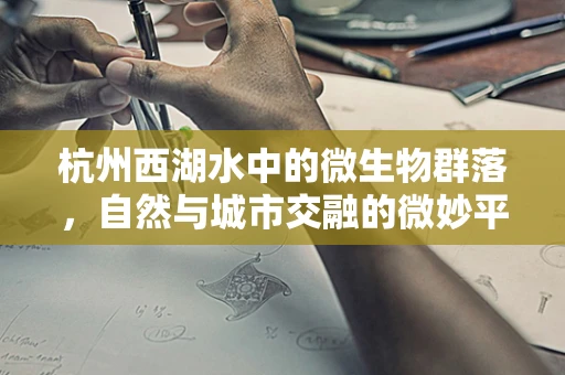 杭州西湖水中的微生物群落，自然与城市交融的微妙平衡