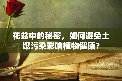 花盆中的秘密，如何避免土壤污染影响植物健康？