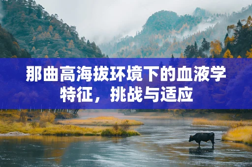 那曲高海拔环境下的血液学特征，挑战与适应