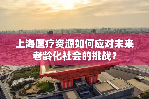 上海医疗资源如何应对未来老龄化社会的挑战？