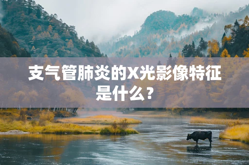 支气管肺炎的X光影像特征是什么？