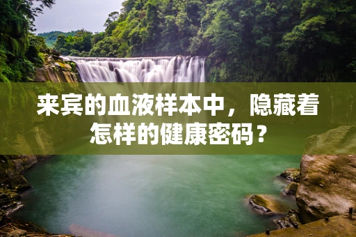 来宾的血液样本中，隐藏着怎样的健康密码？