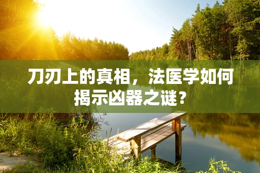 刀刃上的真相，法医学如何揭示凶器之谜？