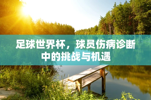 足球世界杯，球员伤病诊断中的挑战与机遇