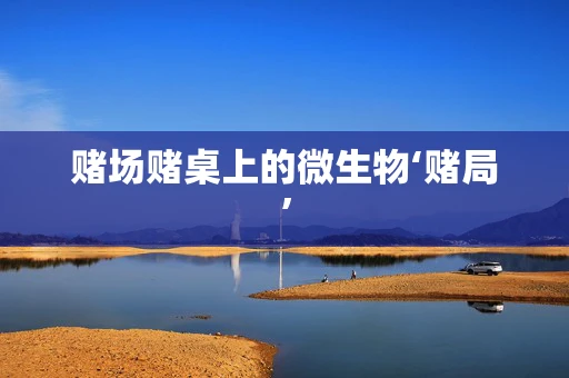 赌场赌桌上的微生物‘赌局’