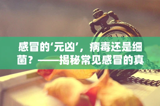 感冒的‘元凶’，病毒还是细菌？——揭秘常见感冒的真相