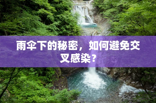 雨伞下的秘密，如何避免交叉感染？