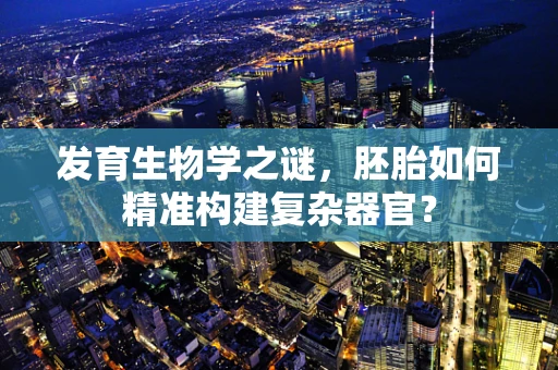 发育生物学之谜，胚胎如何精准构建复杂器官？