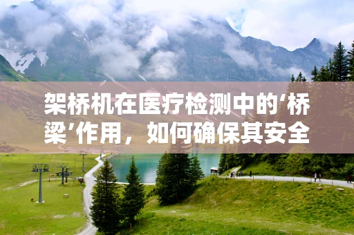 架桥机在医疗检测中的‘桥梁’作用，如何确保其安全与精准？