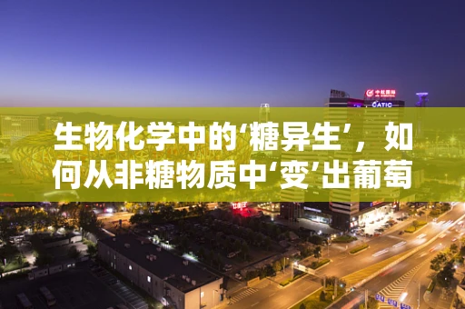 生物化学中的‘糖异生’，如何从非糖物质中‘变’出葡萄糖？