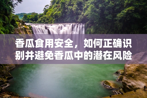 香瓜食用安全，如何正确识别并避免香瓜中的潜在风险？