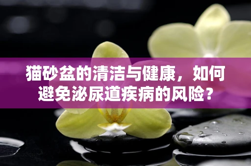 猫砂盆的清洁与健康，如何避免泌尿道疾病的风险？