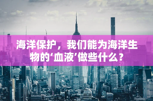 海洋保护，我们能为海洋生物的‘血液’做些什么？