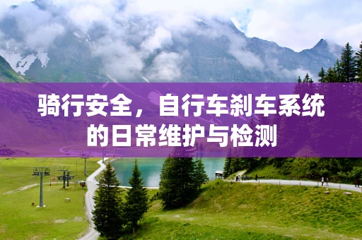 骑行安全，自行车刹车系统的日常维护与检测
