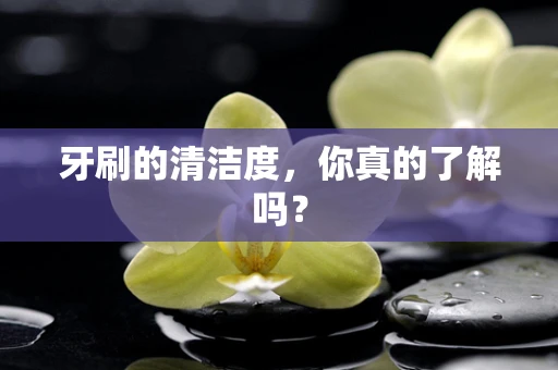 牙刷的清洁度，你真的了解吗？