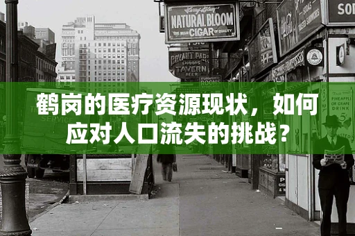 鹤岗的医疗资源现状，如何应对人口流失的挑战？