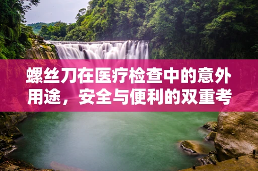 螺丝刀在医疗检查中的意外用途，安全与便利的双重考量