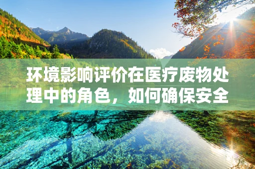 环境影响评价在医疗废物处理中的角色，如何确保安全无虞？