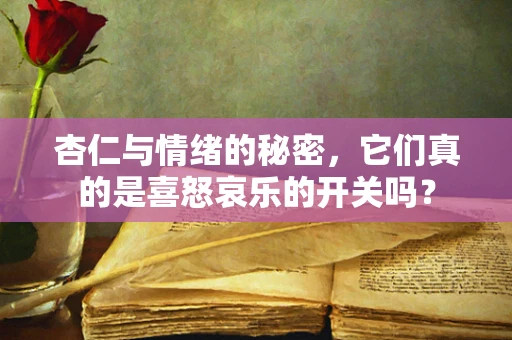 杏仁与情绪的秘密，它们真的是喜怒哀乐的开关吗？