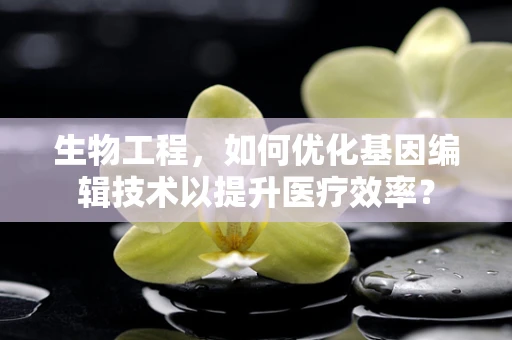生物工程，如何优化基因编辑技术以提升医疗效率？