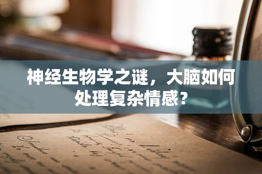 神经生物学之谜，大脑如何处理复杂情感？