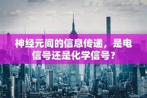 神经元间的信息传递，是电信号还是化学信号？
