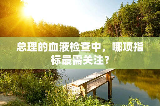 总理的血液检查中，哪项指标最需关注？