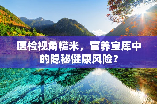 医检视角糙米，营养宝库中的隐秘健康风险？