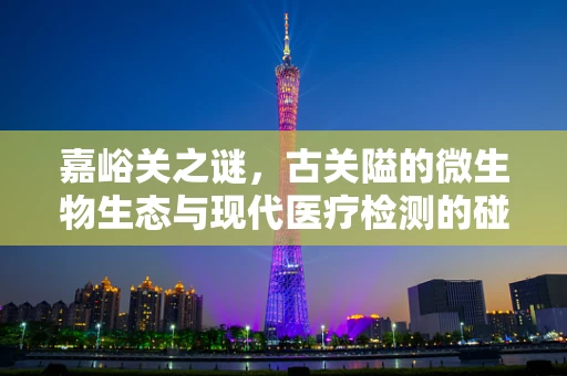 嘉峪关之谜，古关隘的微生物生态与现代医疗检测的碰撞