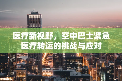 医疗新视野，空中巴士紧急医疗转运的挑战与应对
