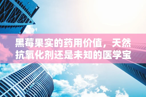 黑莓果实的药用价值，天然抗氧化剂还是未知的医学宝藏？